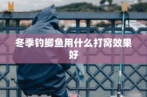 冬季钓鲫鱼用什么打窝效果好