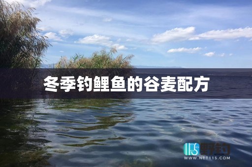 冬季钓鲤鱼的谷麦配方