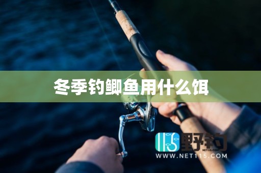 冬季钓鲫鱼用什么饵