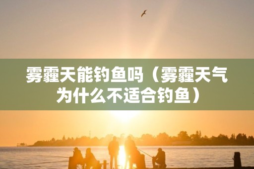 雾霾天能钓鱼吗（雾霾天气为什么不适合钓鱼）
