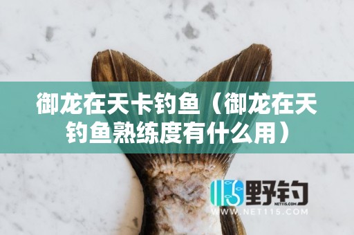 御龙在天卡钓鱼（御龙在天钓鱼熟练度有什么用）