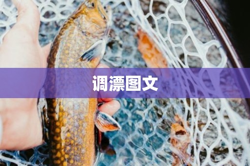 调漂图文