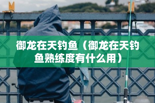 御龙在天钓鱼（御龙在天钓鱼熟练度有什么用）