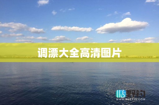 调漂大全高清图片