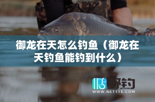 御龙在天怎么钓鱼（御龙在天钓鱼能钓到什么）