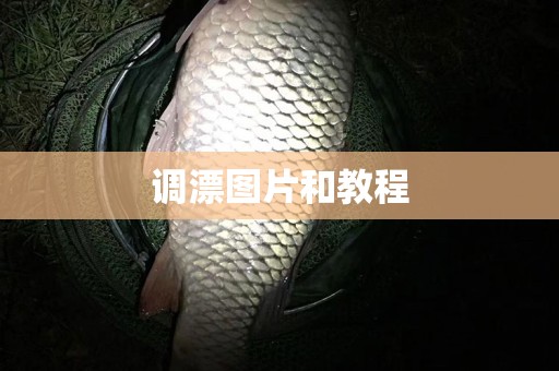 调漂图片和教程