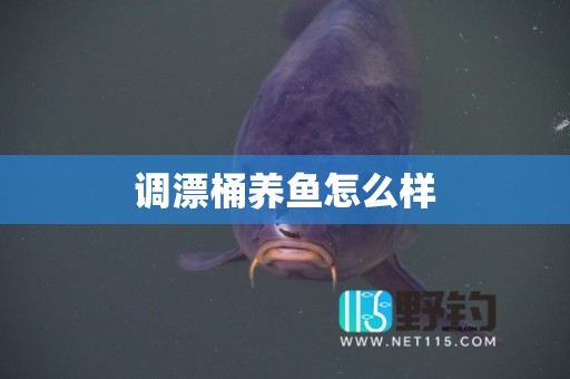 调漂桶养鱼怎么样