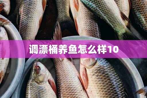 调漂桶养鱼怎么样10