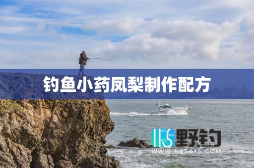钓鱼小药凤梨制作配方