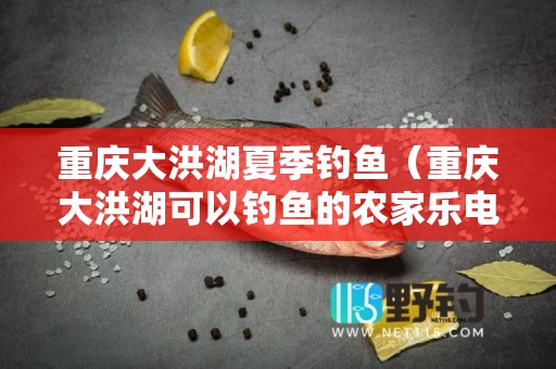 重庆大洪湖夏季钓鱼（重庆大洪湖可以钓鱼的农家乐电话）