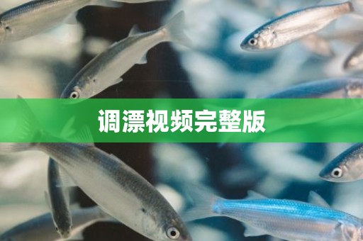 调漂视频完整版