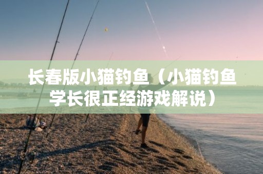 长春版小猫钓鱼（小猫钓鱼学长很正经游戏解说）
