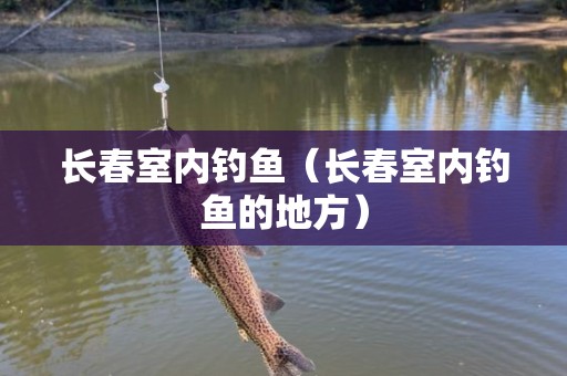长春室内钓鱼（长春室内钓鱼的地方）