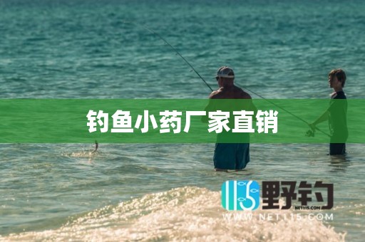 钓鱼小药厂家直销