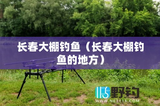 长春大棚钓鱼（长春大棚钓鱼的地方）