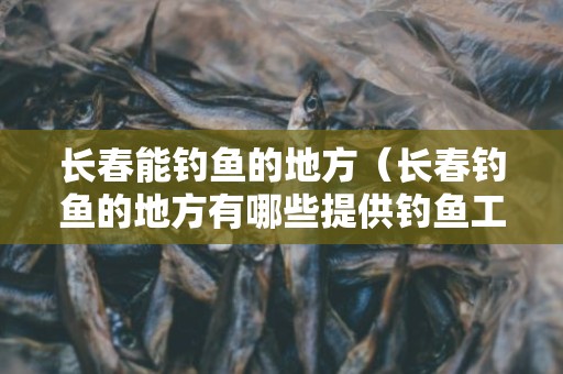 长春能钓鱼的地方（长春钓鱼的地方有哪些提供钓鱼工具）