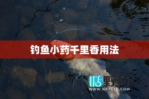 钓鱼小药千里香用法