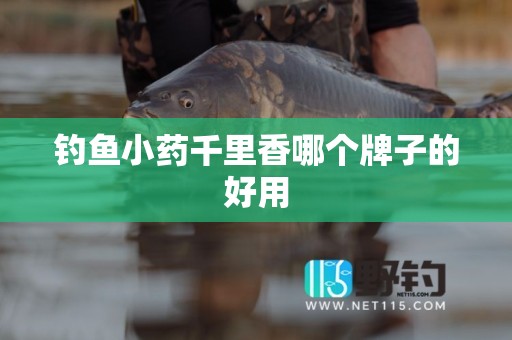 钓鱼小药千里香哪个牌子的好用