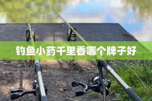 钓鱼小药千里香哪个牌子好