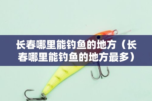 长春哪里能钓鱼的地方（长春哪里能钓鱼的地方最多）