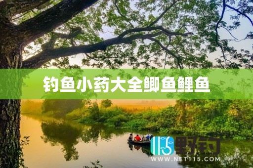 钓鱼小药大全鲫鱼鲤鱼