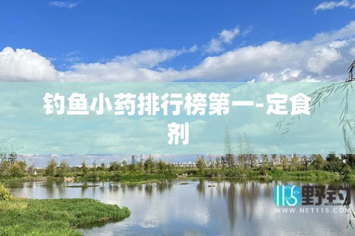 钓鱼小药排行榜第一-定食剂