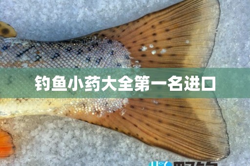 钓鱼小药大全第一名进口