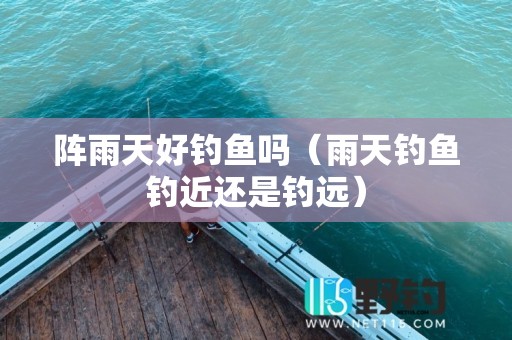 阵雨天好钓鱼吗（雨天钓鱼钓近还是钓远）