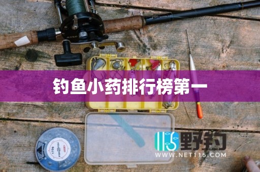 钓鱼小药排行榜第一