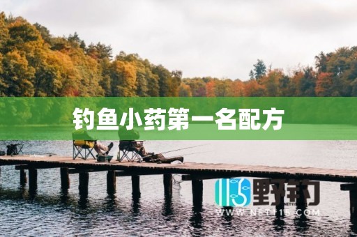 钓鱼小药第一名配方