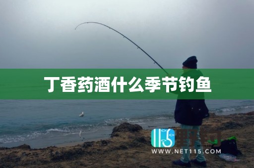 丁香药酒什么季节钓鱼
