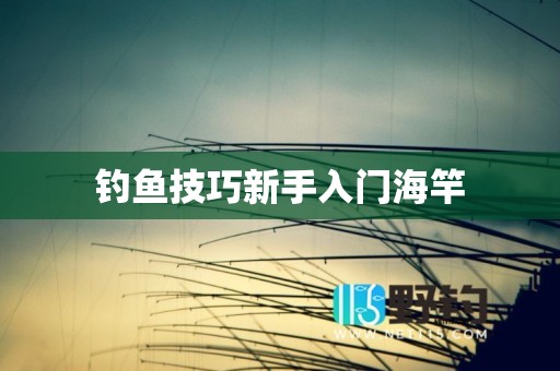 钓鱼技巧新手入门海竿
