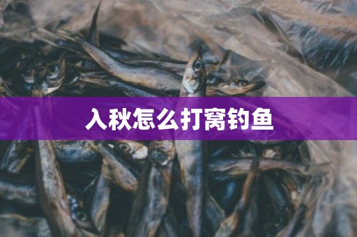 入秋怎么打窝钓鱼