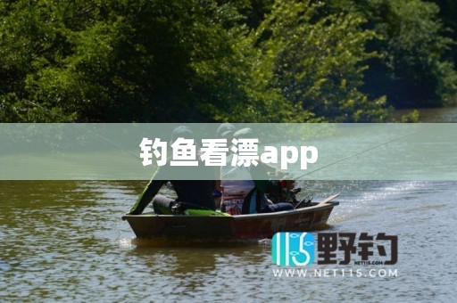 钓鱼看漂app