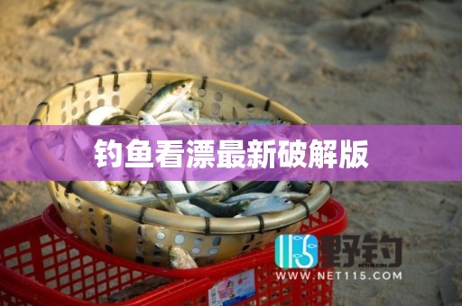 钓鱼看漂最新破解版