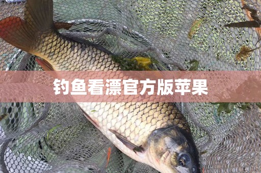钓鱼看漂官方版苹果