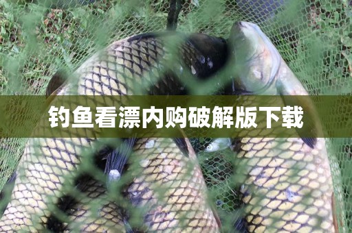 钓鱼看漂内购破解版下载