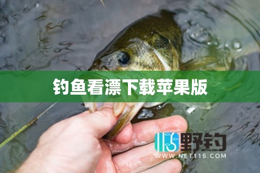 钓鱼看漂下载苹果版