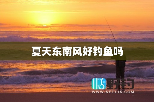夏天东南风好钓鱼吗