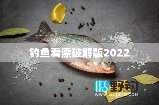 钓鱼看漂破解版2022