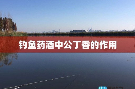 钓鱼药酒中公丁香的作用
