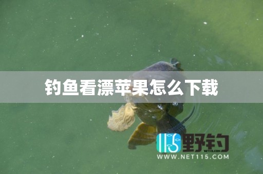 钓鱼看漂苹果怎么下载