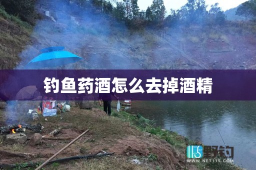 钓鱼药酒怎么去掉酒精