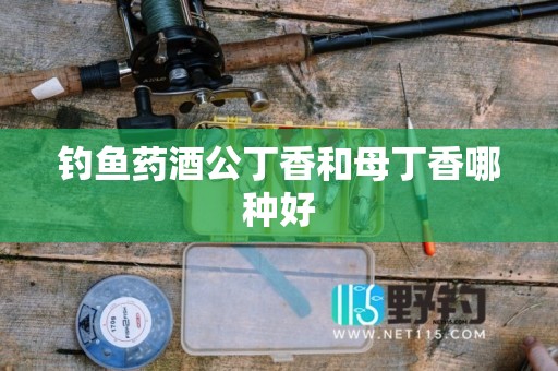 钓鱼药酒公丁香和母丁香哪种好
