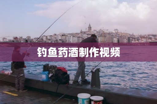 钓鱼药酒制作视频