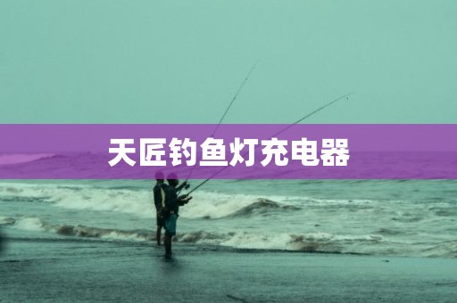 天匠钓鱼灯充电器