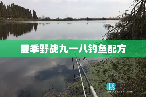 夏季野战九一八钓鱼配方