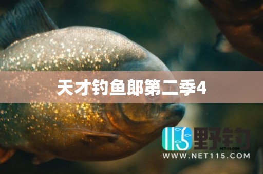 天才钓鱼郎第二季4