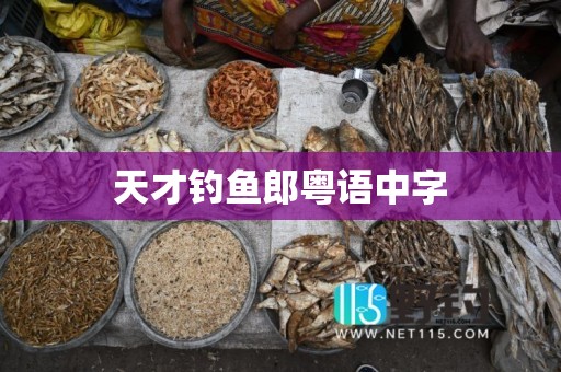 天才钓鱼郎粤语中字