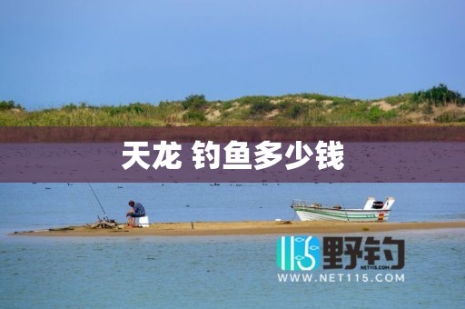 天龙 钓鱼多少钱